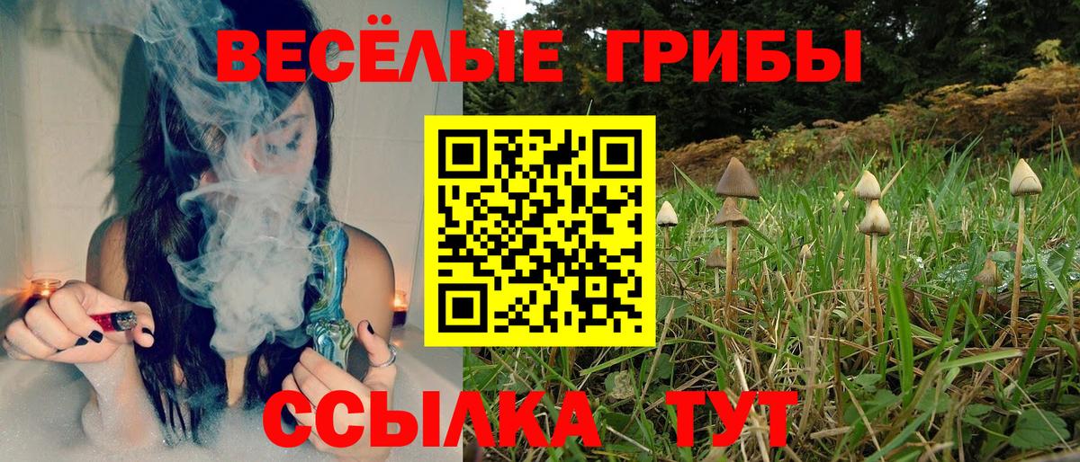 Псилоцибиновые грибы мухоморы  Вход с VPN  Каспийск 
