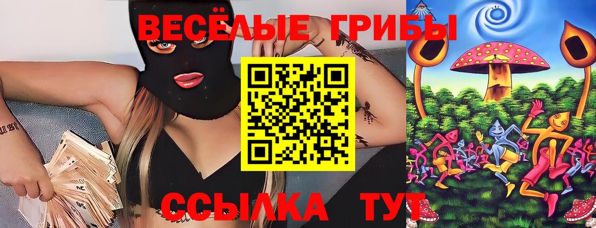 Псилоцибиновые грибы GOLDEN TEACHER Каспийск